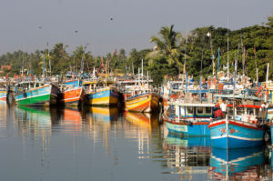 ACDV negombo peche