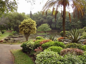 Jardin botanique de Peradeniya