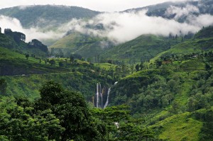 Nuwara-Eliya